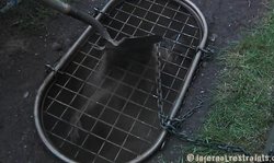 Caged Infernal Restraints victim in the truly insane water torture
