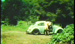 Vintage sex in the woods with slutty cock-riding teenager