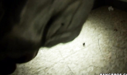 Great cock-sucking action in the video by Glory Hole Loads