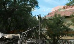 Aesthetic outdoor sex action with Silvia Saint and Stacy Silver