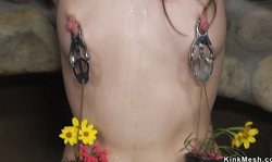 Brunette student rough fucked in bondage