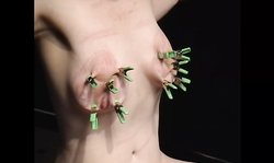 The BDSM master shoves huge needles deep in her massive tits