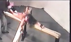 HARDCORE ASS SLAPPING