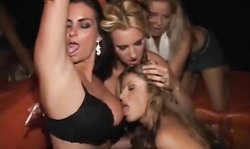 In The VIP multiple hard boners for Chrissy Fox and Emilianna