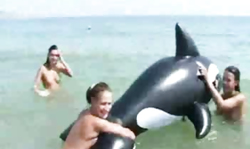 Three crazy slender teenagers are posing naked on the public beach