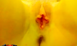 Chubby chick is playing with her little vagina in close-up
