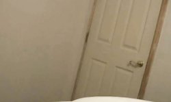 Very playful girlfriend Home Porno Tapes Jessica Fiorentino gives a good blowjob