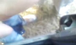 Very hot close-up amateur sex with my nice Russian girlfriend