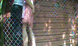 Truly spicy outdoor sex with a long-legged Russian babe