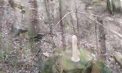 Cute teen anal dildo ride outdoors