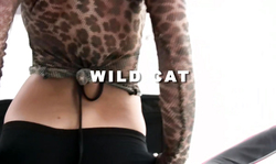 Denise Milani poses on the rocks in a see-through blouse