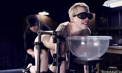 Short haired blonde in device bondage