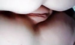 Swedish Svensk cucumber gurka