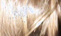 White hottie sucks bbc