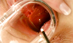 Cock-addicted teen is trying hard to stretch her pussy