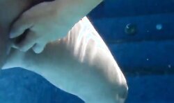 Girl pulling my cock underwater