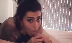 Suck my Wang and Smile,dad Bunni