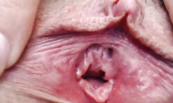 dilettante big vulva rubbing ejaculation in closeup web camera