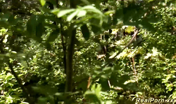 german couple in the woods