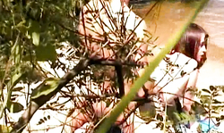 Amazingly hot beach sex with a redhead babe in doggy style