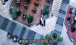 Slender Cony's Girls blonde nicely penetrated in doggy style pose