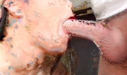 Astonishing Asian slut is swallowing a really big wiener