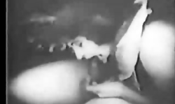 Amazing Retro porn with a dick-swallowing brunette