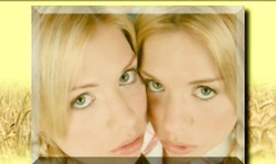 Beautiful and innocent-looking twins are getting nude in the bed