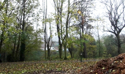 UK Flashers redhead masturbates in public place