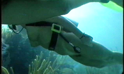 Big-boobed girls have amazingly sexy long legs and round asses