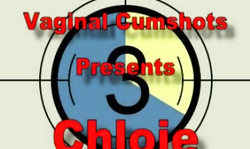 Amateur girl gets nicely banged on the Vaginal Cumshots casting