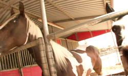 Stunning gf slut enjoys hardcore sex in the barn