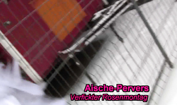 Beauty bitch Aische Pervers fucks in public place