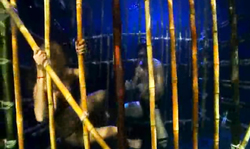 Underwater sex in the cage with a lustful brunette ebony