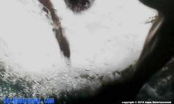 Sweet Asian chick sucks a dick underwater and gets licked