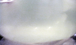 Dark-haired lady with big ass likes balloon fetish