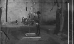 Female BDSM action featuring a sexy chained slave and her domme