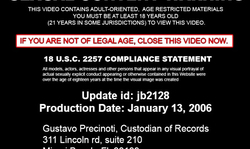 Skillful brunette Brandi Belle jerks off a loaded dick