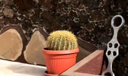 Painful Lesbian Domination games with a cruel Domina