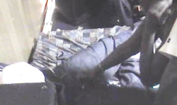 Unlimited sex with dick-sucking Chicago Freak Fest babes