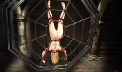 Chained babe Dee Williams loves nasty water tortures