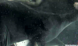 BDSM beauty Vendetta gets treated and tortured in ice bath