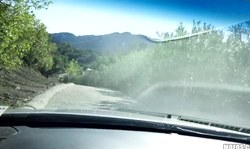 Hot-looking Olivia Austin gives a passionate blowjob