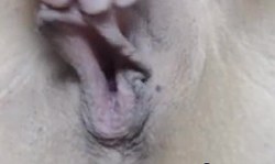 Lovely Petite Babe Loves to Play her Pussy